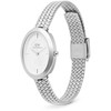 Daniel Wellington Juliette Braided Mesh Baltas Sunray Sidabrinis DW00100884