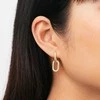 Daniel Wellington Prabangūs auksu dengti auskarai 2 in 1 Crystal Link DW00400594