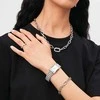 Daniel Wellington Prabangus plieno karoliai su kristalais Crystal Link DW00400607