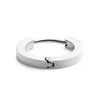 Daniel Wellington Minimalistinis viengubas plieno auskaras DW00400882