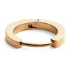 Daniel Wellington Minimalistinis viengubas plieno auskaras DW00400882