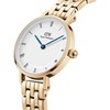 Laikrodis DANIEL WELLINGTON DW00100682. Kwarcowy, Kolor FLOCK. Kobieta.