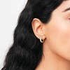 Daniel Wellington Putojantys paauksuoti Pavé apskritimai DW00400642