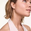 Daniel Wellington Vienvietis putojantis auskaras su kristalais DW00400881