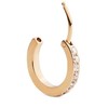 Daniel Wellington Vienvietis putojantis auskaras su kristalais DW00400871