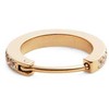 Daniel Wellington Vienvietis putojantis auskaras su kristalais DW00400871