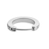 Daniel Wellington Vienvietis putojantis auskaras su kristalais DW00400881