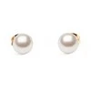 Daniel Wellington Stud earrings with Swarovski Pearl DW00401956