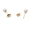 Daniel Wellington Stud earrings with Swarovski Pearl DW00401956