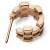 Daniel Wellington Stylish bronze earrings 5-Link DW00400960