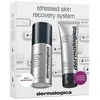 Stressed Skin Recovery System Set Dermalogica: Multivitamin Power Recovery Recovery Kreminis For Face, 50 ml + Multivitamin Power Recovery Anti-Stress Kreminis Mask For Face, 75 ml