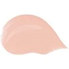 Dolce&amp;Gabbana Dolce &amp; Gabbana Drėkinantis tonuotas kremas (Blueberry Nutri-Tint), 30 ml, 2C