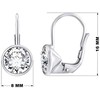 Elegantiški sidabrinis auskarai su skaidriu Swarovski cirkoniu SILVEGOB70607S