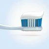 Elmex Dantų pasta Caries Protection 75ml