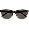 Emily Westwood Polarized sunglasses EWS-3332_C174-P20
