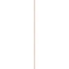 Essence Cosmetics Monocroma Mate Sombra De Ojos 01-Soft rusvai gelsvas, 2 g