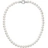 Evolution Group Beautiful pearl pakabukas Pavona 22003.1 A