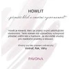 Evolution Group Howlite mineral bracelet 43056.3