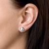 Evolution Group Luxury sidabrinis rinkinys su tikrais perlais Pavon 29022.1