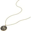 Fossil Gold-plated pakabukas Capricorn Written in the Stars JF04847710