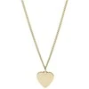 Fossil Steel pakabukas JF03080710 (chain, pendant)
