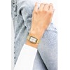 Laikrodis Frederic Graff Fredericas Graffas Jenny FDT-3414