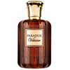 French Avenue Paradox Vetivier EDP parfumuotas vanduo vyrams, 100 ml