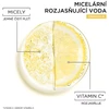 Garnier Skin Naturals Vitamin C Micellar Cleansing Vanduo Micellar Vanduo moterims, 400 ml