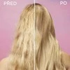 Garnier Fructis Hair Food Pineapple Glowing Lengths Mask plaukų kaukė