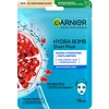 Garnier Skin Naturals Moisture + Aqua Bomb veido kaukė moterims, 1 vnt