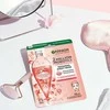 Garnier Medžiaginių veido kaukių rinkinys Party Mix 4+1 vnt.