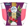 Glade kvapioji žvakė „Žiemos uogos“ 204 g