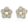 Papuošalai „Guess“ auskarai JUBE04469JWYGT/U