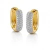 Guess Gold-plated earrings with zircons Nuances JSBE04532JWYGT/U