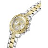 Laikrodis Watches GUESS LADIES GW0771L3
