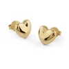Papuošalai „Guess“ auskarai JUBE05543JWYGT/U