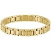 Hugo Boss Auksuota apyrankė vyrams Metal Links Essentials 1580711