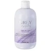 Inebrya GREYlosophy Pilkas By Day Šampūnas tonuojantis šampūnas natūraliai žiliems / balintiems plaukams, 300 ml