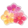 Invisibobble Clipstar Kids Bearly Bloomed Plaukų sagtukas 4 pcs