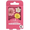 Invisibobble Myclaw Clip Ornaments Set Hothouse Florals 3 pcs