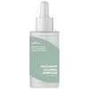 Isntree Raminamasis pelynų serumas (raminamoji ampulė) 50 ml