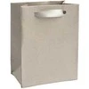 Jk Box Sidabrinis paper gift bag EC-3 / AG