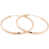 JVD Rožinė auksinis plated sidabrinis earrings rings SVLE0209XD5RO