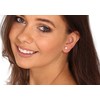 Jwl Luxury Pearls Gražus paauksuotų auskarų rinkinys (1x auskaras, 2x akmeninis auskaras) JL0780