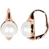 Jwl Luxury Pearls Bronziniai auskarai su tikrais perlais JL0533