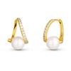 Jwl Luxury Pearls Padorūs paauksuoti tikro perlo ir kubinio cirkonio auskarai JL0850