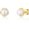 Jwl Luxury Pearls Auksuoti auskarai su upės perlu JL0735