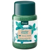 Kneipp Goodbye Stress Bath Salt unisex, 500g