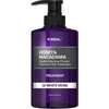 Kundal Honey & Macadamia Protein Treatment, 500 ml