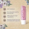 Labello Bridgerton Rose Meringue Lūpų balzamas 4.8 g